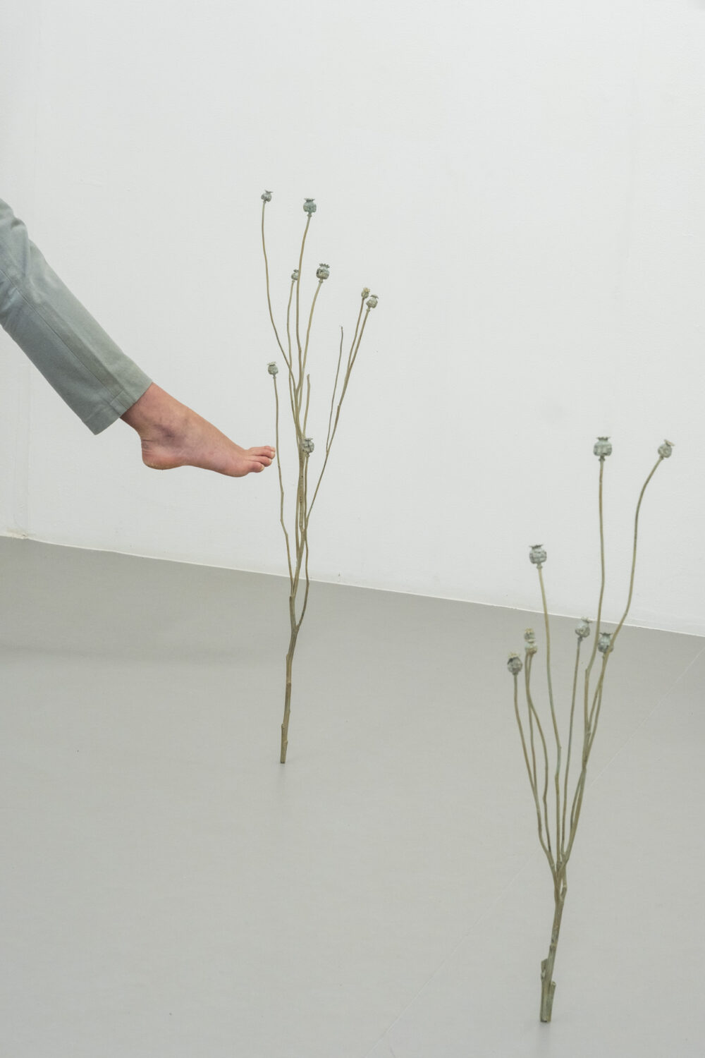 Performées #7 - Villa du Parc