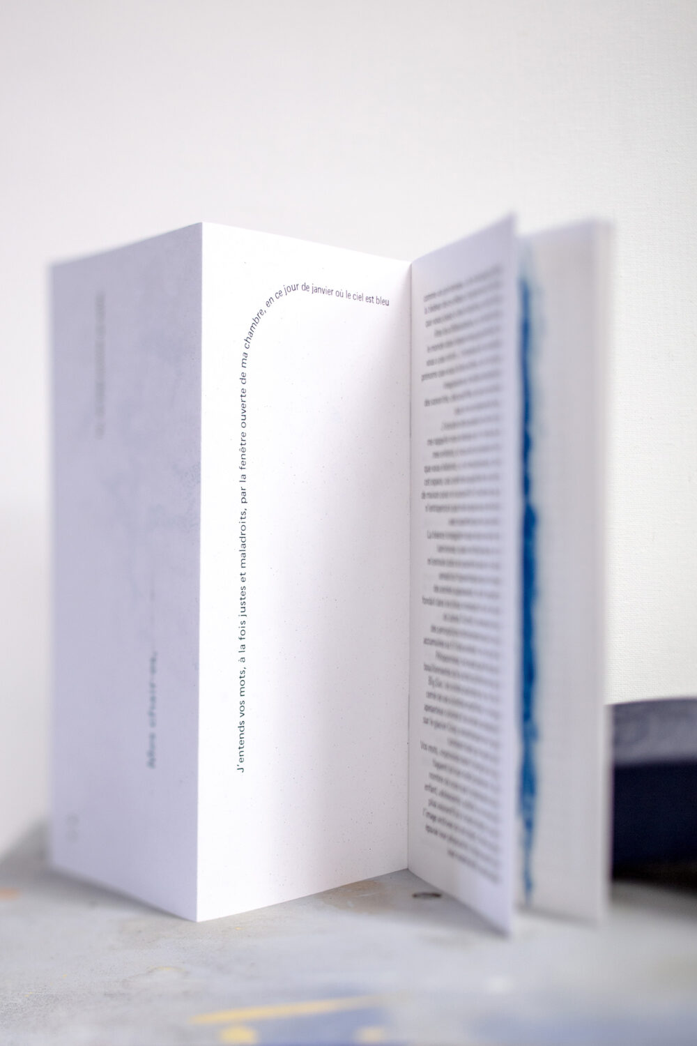 Emmanuelle Becquemin - Villa du Parc