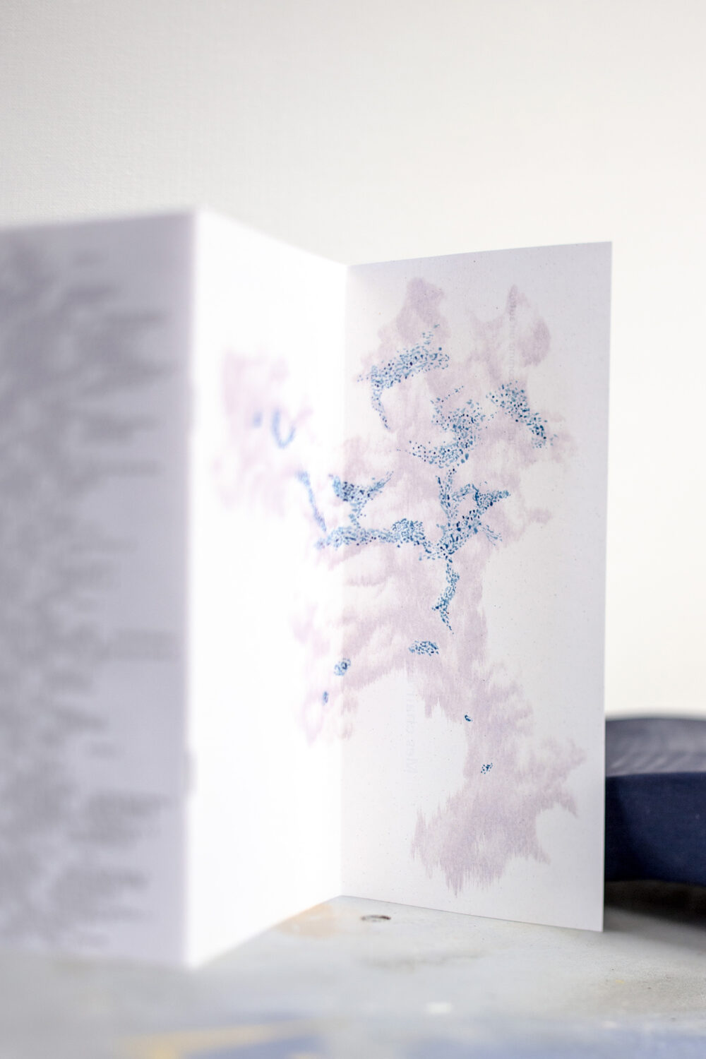 Emmanuelle Becquemin - Villa du Parc