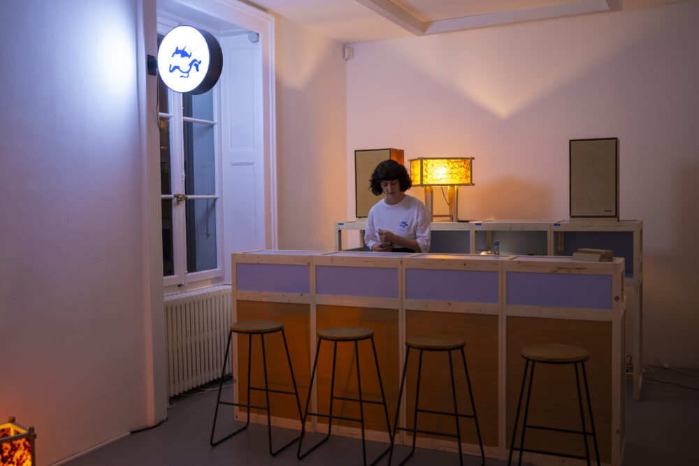 Listening Bar - Villa du Parc